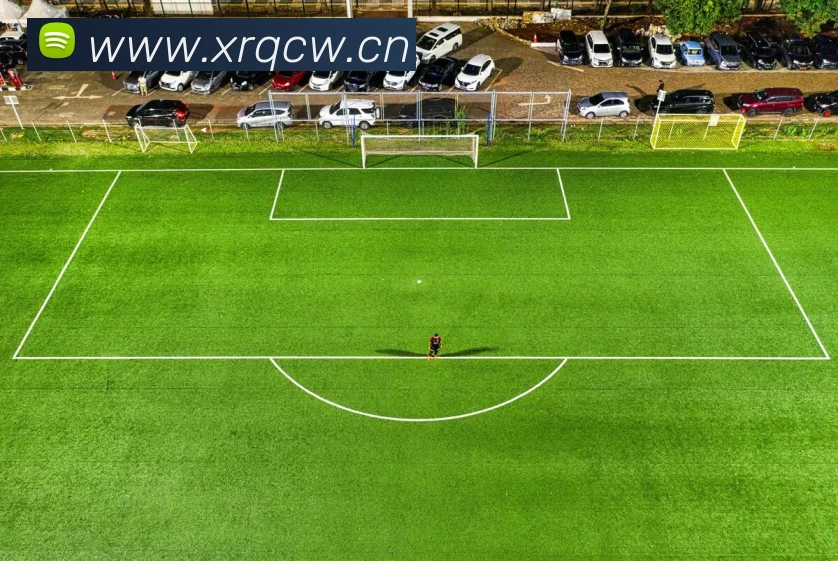 巅峰国际app官方下载安装平台生态图